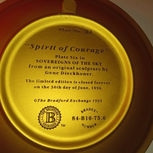 BRADFORD EXCHANGE "SPIRIT OF COURAGE" TO DECORATE YOUR LOVED ONE'S COURAGE DECOR - Picture 4 of 10